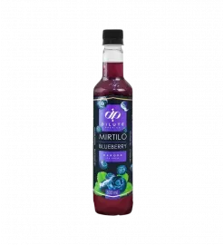 Dilute Tradicional Mirtilo Blueberry 500ml
