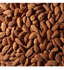 Amêndoa Torrada sem Sal