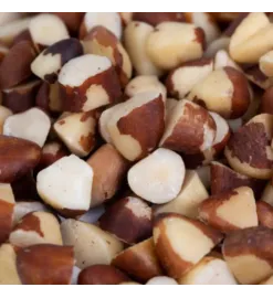 Castanha do Pará Quebrada