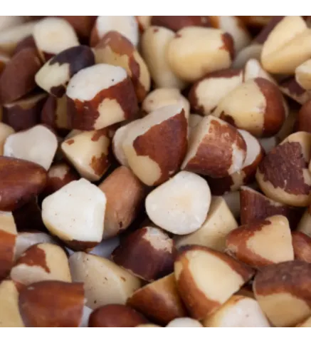 Castanha do Pará Quebrada