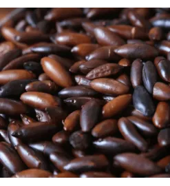 Castanha de Baru Torrada