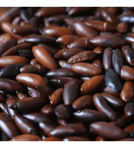 Castanha de Baru Torrada