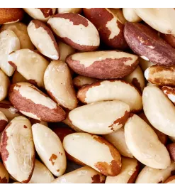 Castanha do Pará (Brasil) Inteira