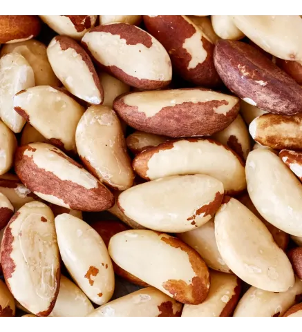 Castanha do Pará (Brasil) Inteira