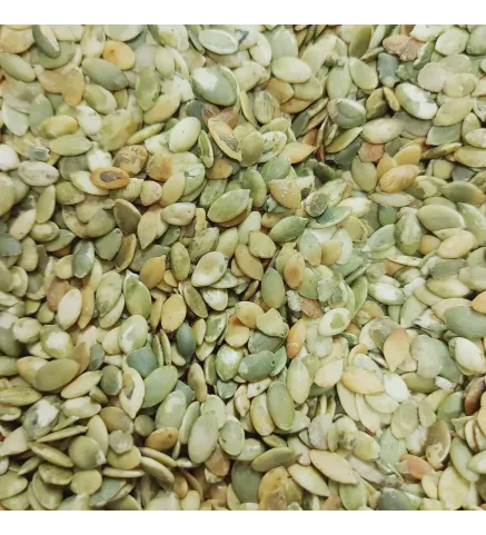 Semente de Abóbora Torrada s/ Sal