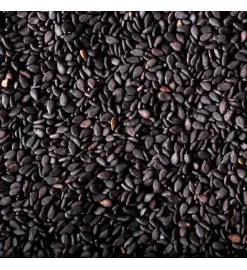 Semente de Gergelim Preto 