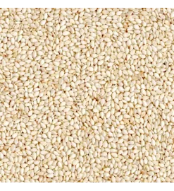 Semente de Gergelim Branco 