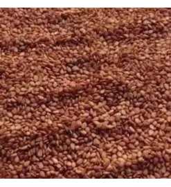 Semente de Gergelim Marrom 