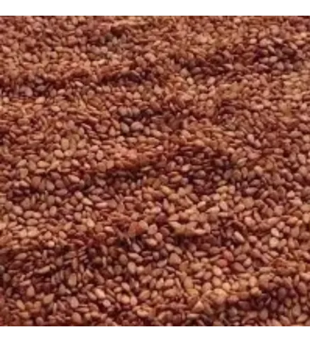 Semente de Gergelim Marrom 