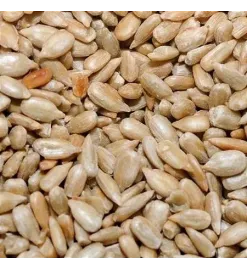 Semente de Girassol sem Casca Crua 