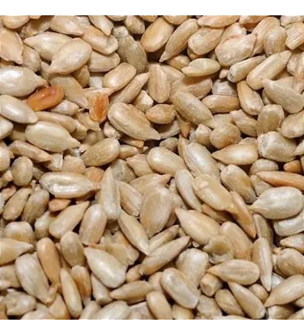 Semente de Girassol sem Casca Crua 